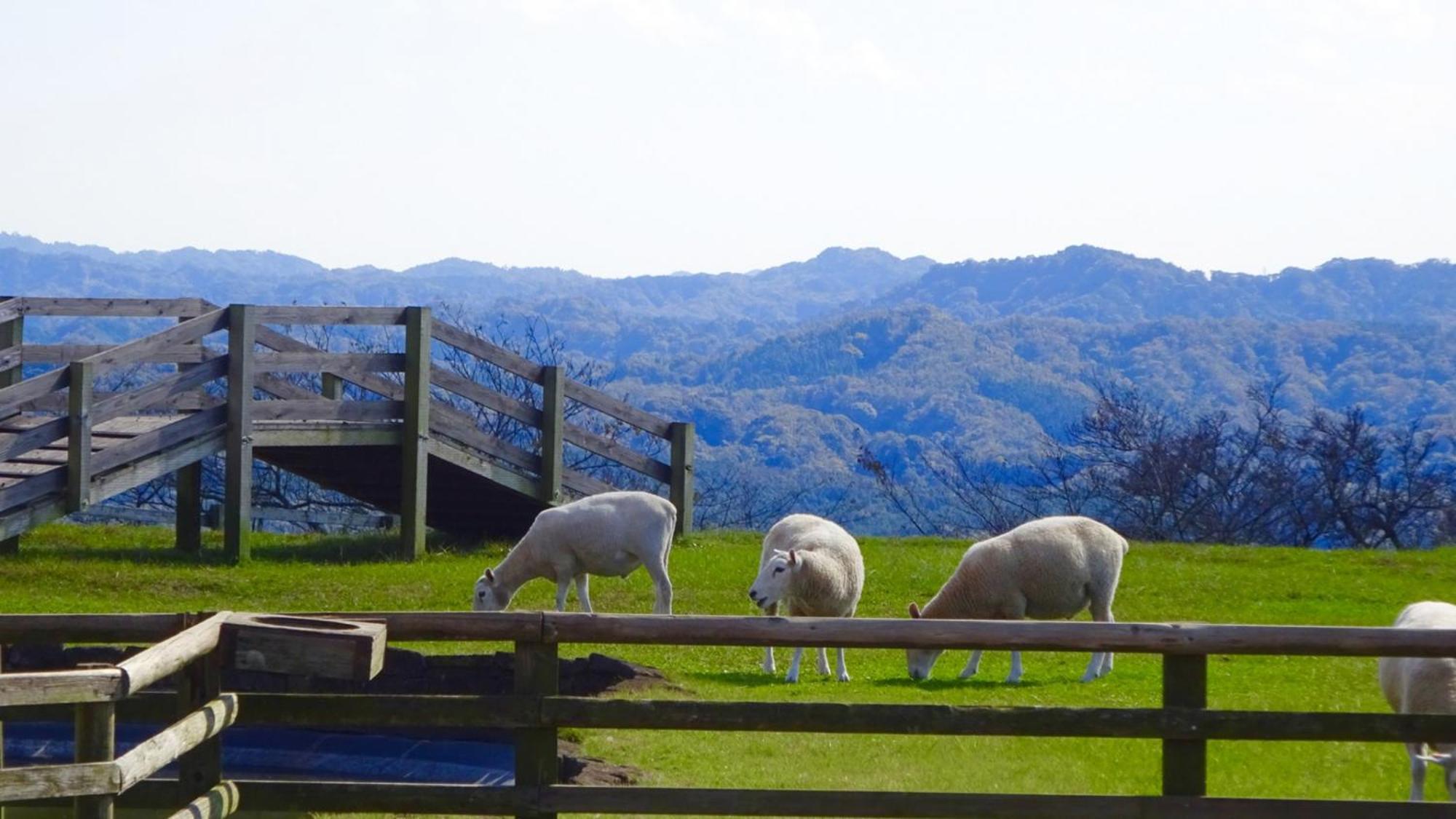 Toyoko Inn Sodegaura eki Kita guchi Bagian luar foto